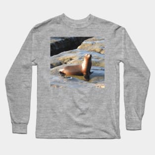 Young California Sea Lion, Marine Life, Wildlife, Nature Long Sleeve T-Shirt